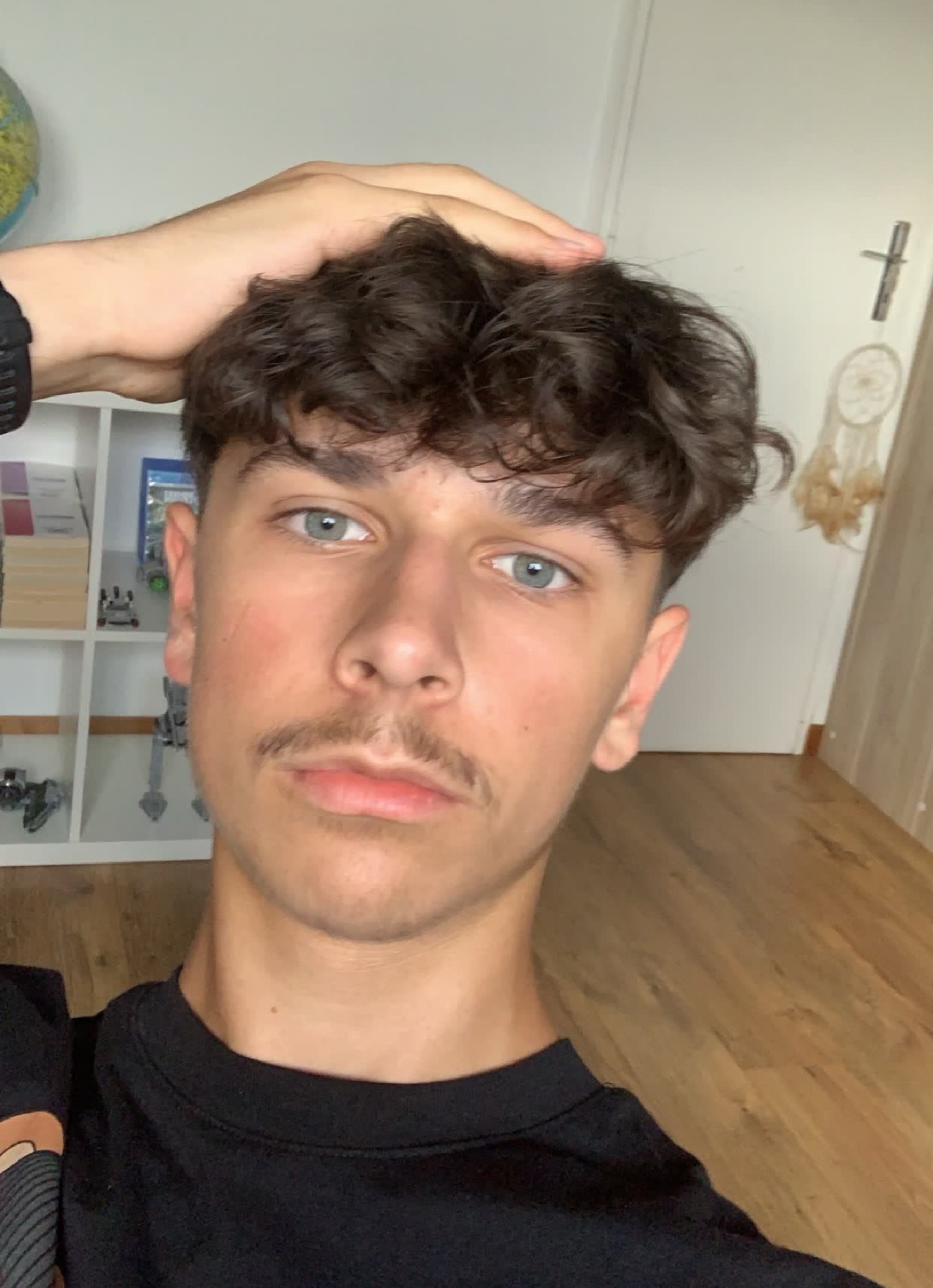 Perfil de Louca